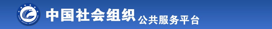 搞逼搞黄全国社会组织信息查询